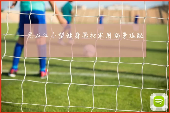黑龙江小型健身器材家用场景适配