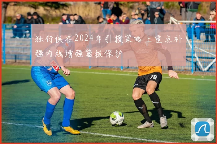 独行侠在2024年引援策略上重点补强内线增强篮板保护