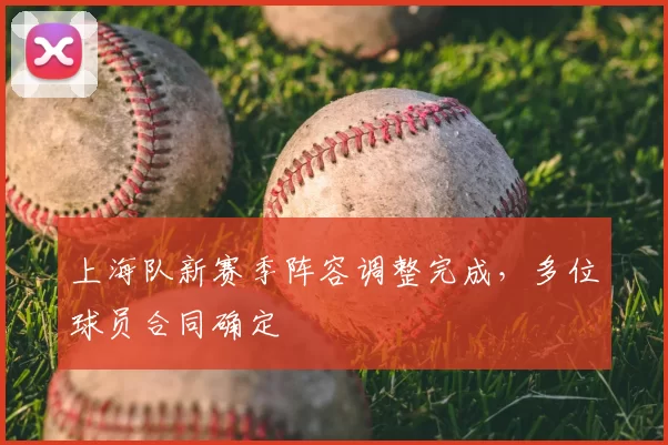 上海队新赛季阵容调整完成,多位球员合同确定