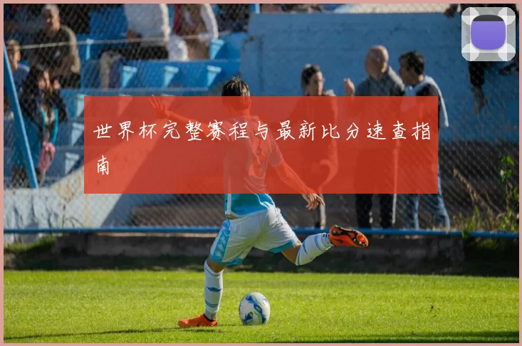 世界杯完整赛程与最新比分速查指南