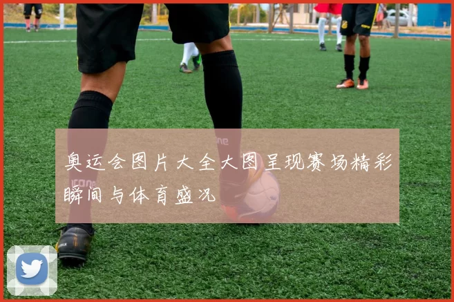 奥运会图片大全大图呈现赛场精彩瞬间与体育盛况