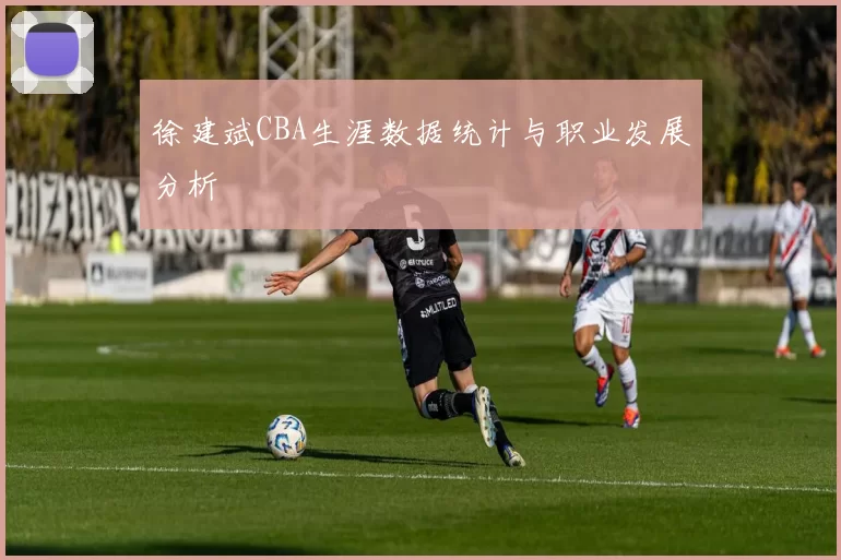 徐建斌CBA生涯数据统计与职业发展分析