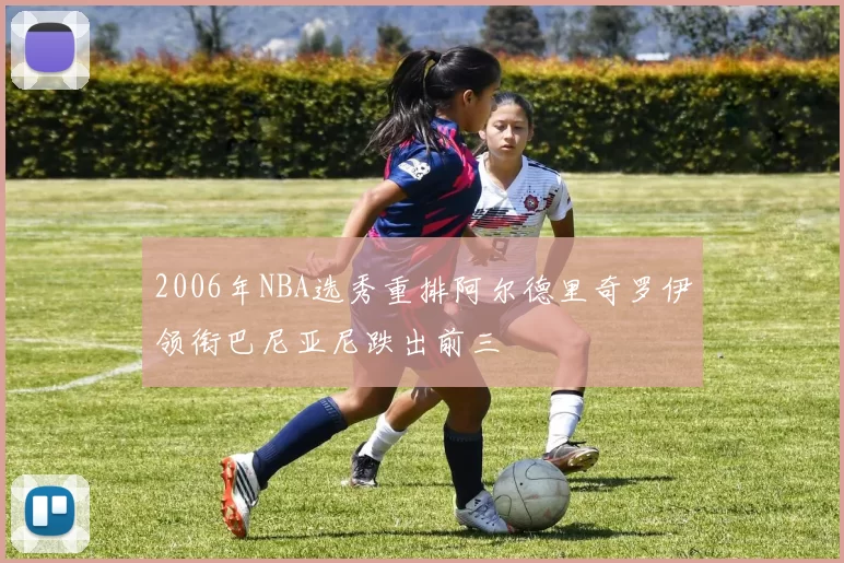 2006年NBA选秀重排阿尔德里奇罗伊领衔巴尼亚尼跌出前三