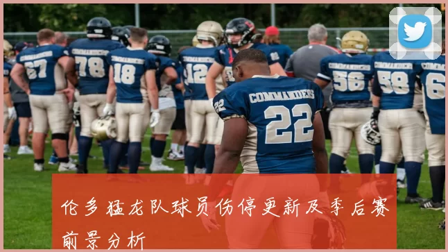 伦多猛龙队球员伤停更新及季后赛前景分析