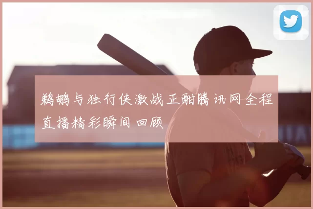 鹈鹕与独行侠激战正酣腾讯网全程直播精彩瞬间回顾