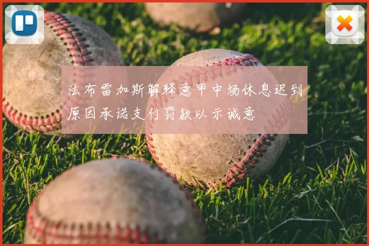 法布雷加斯解释意甲中场休息迟到原因承诺支付罚款以示诚意