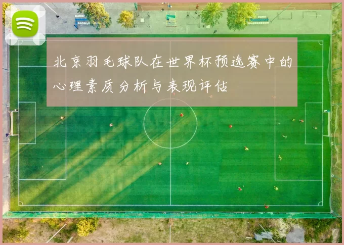 北京羽毛球队在世界杯预选赛中的心理素质分析与表现评估