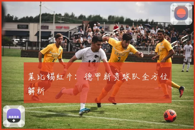 莱比锡红牛:德甲新贵球队全方位解析