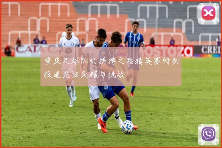 重庆足球队的拼搏之路精英赛特别报道见证荣耀与挑战