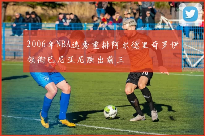 2006年NBA选秀重排阿尔德里奇罗伊领衔巴尼亚尼跌出前三
