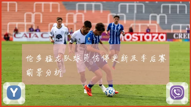 伦多猛龙队球员伤停更新及季后赛前景分析