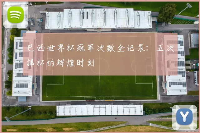 巴西世界杯冠军次数全记录:五次捧杯的辉煌时刻