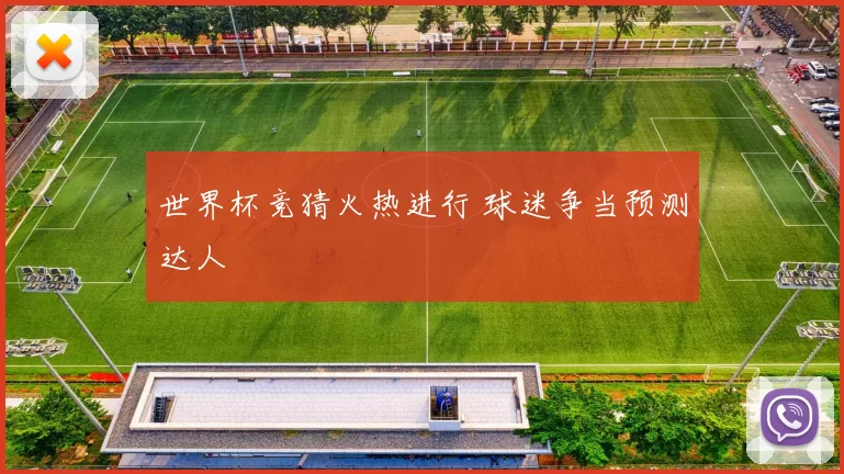 世界杯竞猜火热进行 球迷争当预测达人