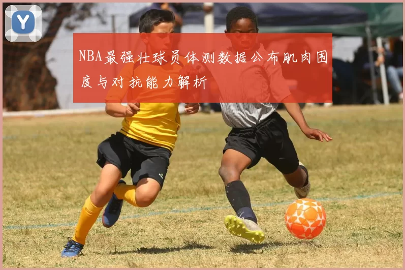 NBA最强壮球员体测数据公布肌肉围度与对抗能力解析