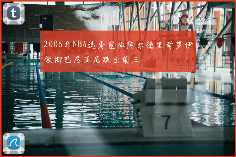 2006年NBA选秀重排阿尔德里奇罗伊领衔巴尼亚尼跌出前三